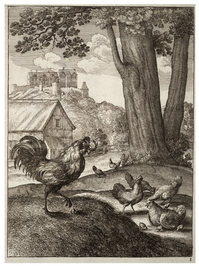 Il gallo e il gioiello da Wenceslaus Hollar